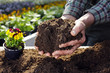 the hands of the gardener