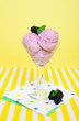Saskatoon Berry Sorbet