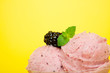 Saskatoon Sorbet Macro
