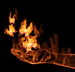 Papillon en feu
