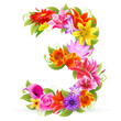 Zahl Blume - 3