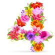 Zahl Blume - 4