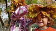 Autumn wreath