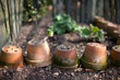 Pot et potager F