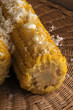 Zea mays