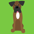 Illustration: Box Dog Vector Box Dog Vector