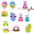 Collection of Easter Owls