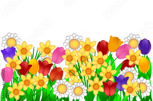 Illustration: Spring Flowers Illustration Spring Flowers Illustration