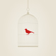 Birdie in a cage