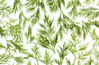 Fresh Dill close-up background / back-lit Fresh Dill close-up background / back-lit