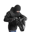 Masked criminal holding a stolen handbag, isolated on white Masked criminal holding a stolen handbag, isolated on white
