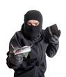 Masked criminal holding a stolen leather purse, isolated on whit Masked criminal holding a stolen leather purse, isolated on whit