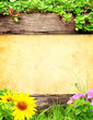 Summer background