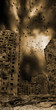 Dead City