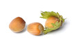 Hazelnuts on White