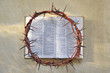 Crown of thorns and bible