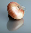 Onion