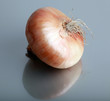 Onion