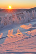 Winter Wonderland Winter Wonderland