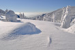 Winter Wonderland Winter Wonderland