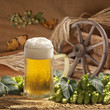 still life with beer