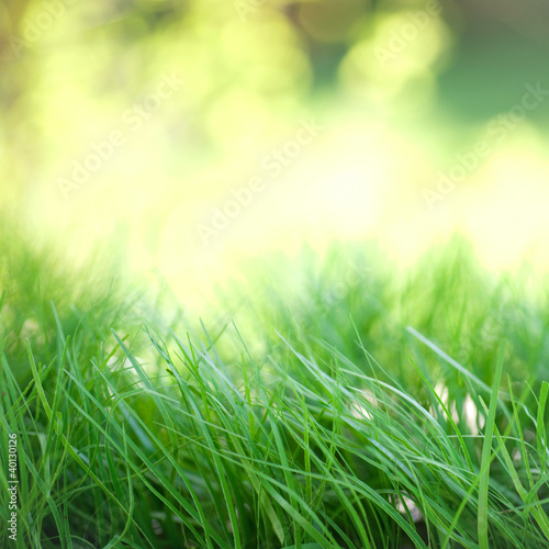 Photo: Frühlingserwachen Frühlingserwachen