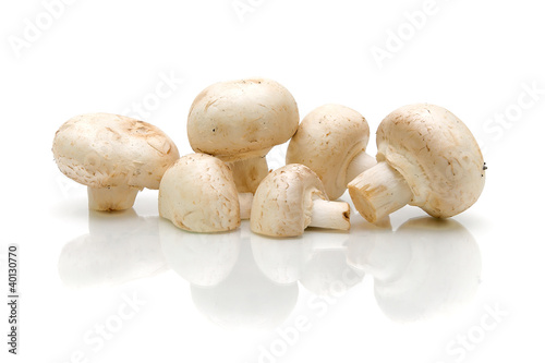 Photo: white mushrooms on a white background white mushrooms on a white background