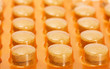 pills in blister