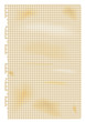 Blatt Papier aus einem Collegeblock, vergilbt