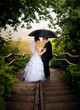 the bride and groom looked back down the stairs