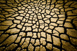 Dry ground