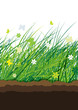 Green meadow, seamless pattern for your design Green meadow, seamless pattern for your design