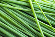 Green onion leaves Green onion leaves
