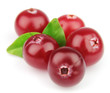 Sweet cranberries