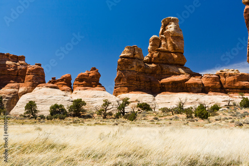 Photo: Desert Landscape Scene Desert Landscape Scene