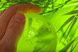 Glass earth in grass with hand Glass earth in grass with hand