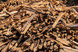 split wood pile in forest