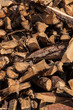 split wood pile in forest