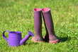 Foto: Jardiner Jardiner