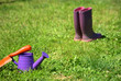 Foto: Outillages de jardin Outillages de jardin