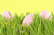 egg easter in a grass on yellow background egg easter in a grass on yellow background