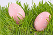 egg easter and chicks in a grass Isolated on white egg easter and chicks in a grass Isolated on white