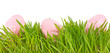egg easter and chicks in a grass Isolated on white egg easter and chicks in a grass Isolated on white