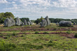 Carnac (Bretagna) - Gli allineamenti - Menhir