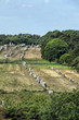 Carnac (Bretagna) - Gli allineamenti - Menhir