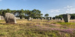 Carnac (Bretagna) - Gli allineamenti - Menhir
