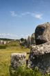 Carnac (Bretagna) - Gli allineamenti - Menhir Carnac (Bretagna) - Gli allineamenti - Menhir