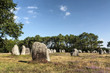 Carnac (Bretagna) - Gli allineamenti - Menhir
