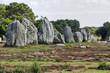 Carnac (Bretagna) - Gli allineamenti - Menhir