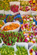 Tulip flowers market Tulip flowers market